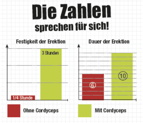 Zahlreiche Labortests, die mit CordyCeps durchgeführt wurden, bestätigen die spektakuläre, ja „ungewöhnliche“ Wirkung...